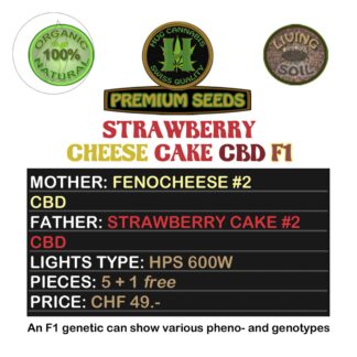 Hug Cannabis Strawberry Cheese Cake CBD Samen kaufen online